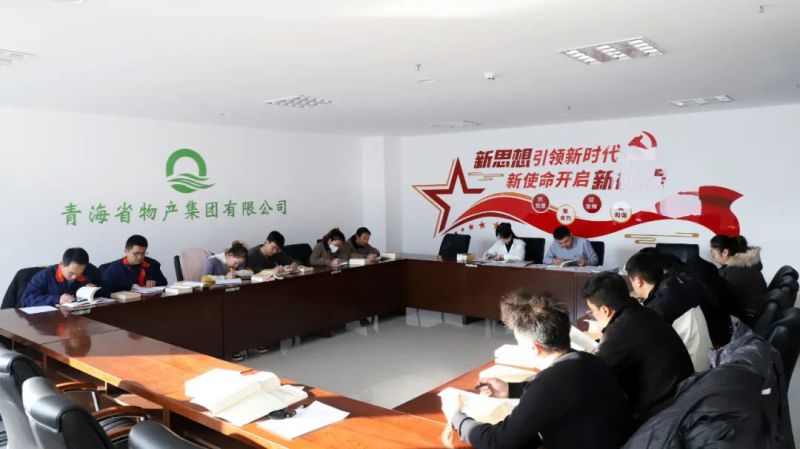 凝心鑄魂學(xué)思想 充電蓄能促提升——集團團委組織開展團員和青年主題教育“挺膺擔當”專題集中學(xué)習